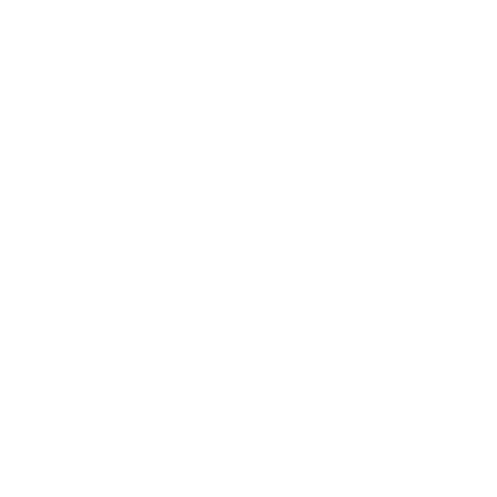 لوگوی آندرا